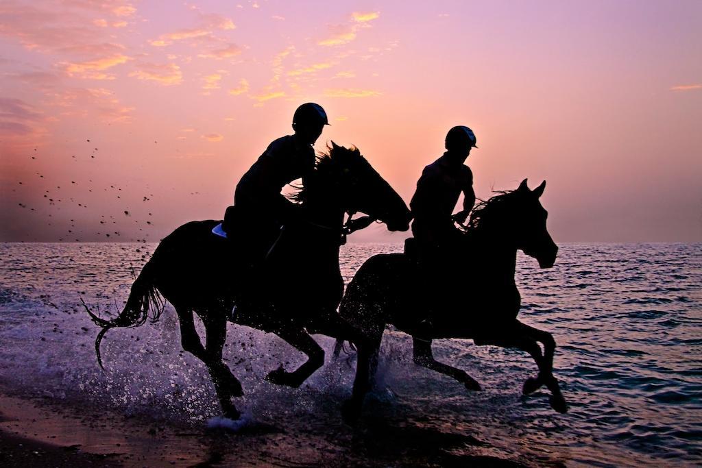 Anantara Sir Bani Yas Island Al Sahel Villas Zahr Bagian luar foto