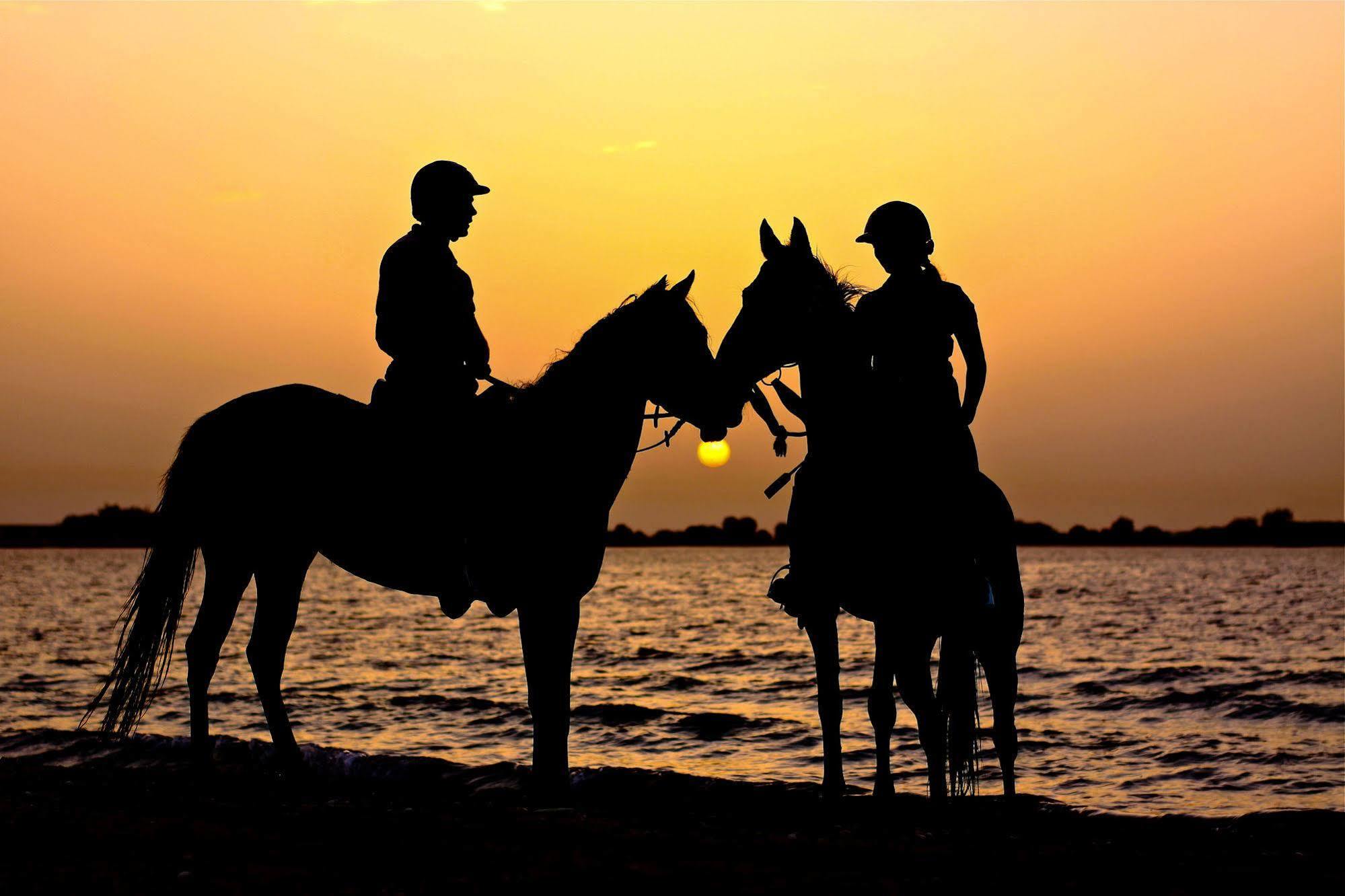 Anantara Sir Bani Yas Island Al Sahel Villas Zahr Bagian luar foto