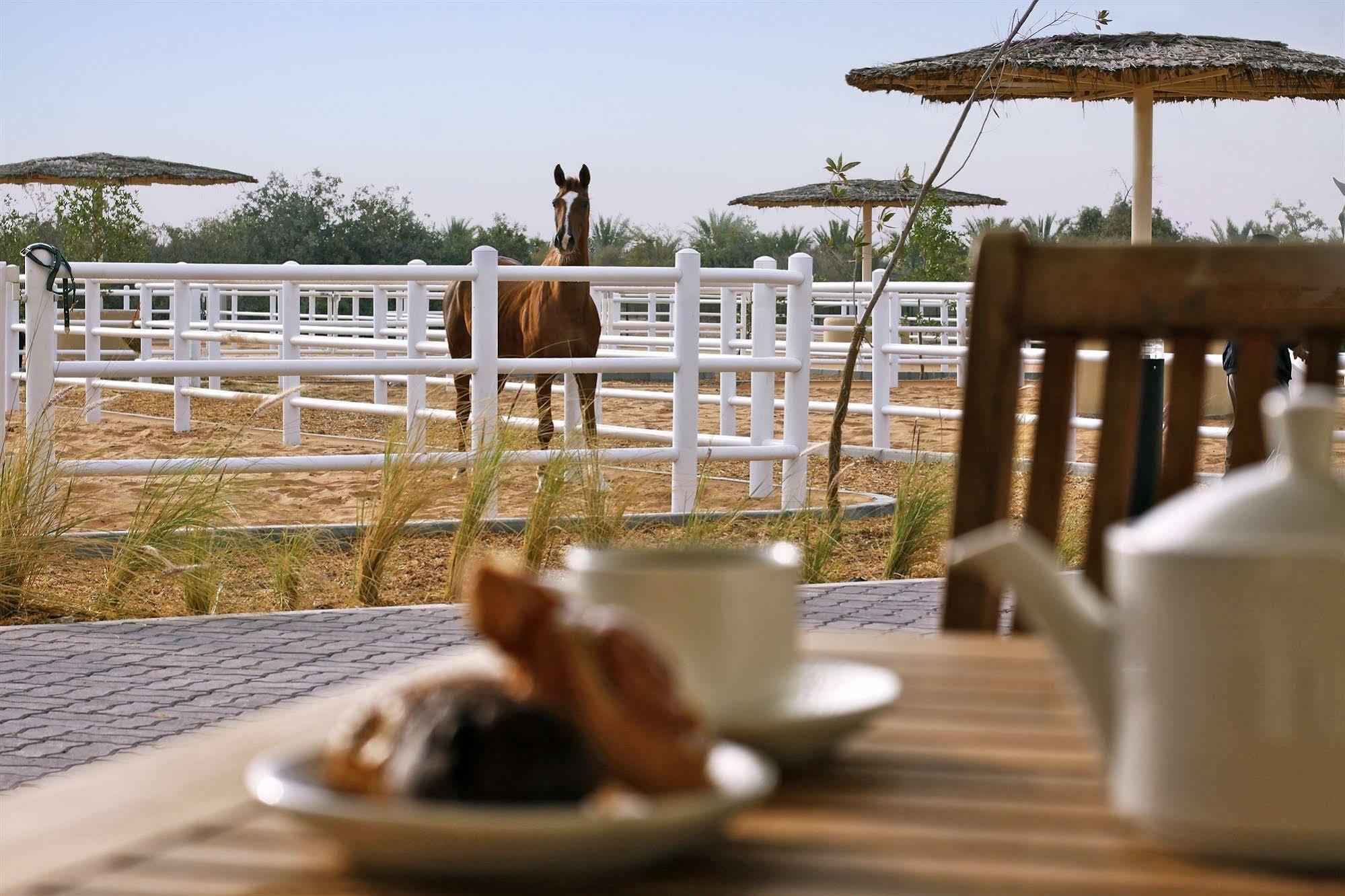 Anantara Sir Bani Yas Island Al Sahel Villas Zahr Bagian luar foto